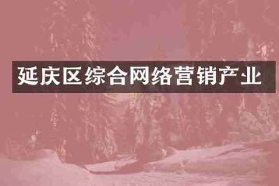 延庆区综合网络营销产业