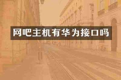 网吧主机有华为接口吗