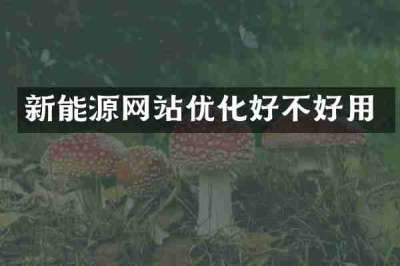 新能源网站优化好不好用