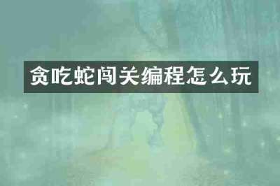 贪吃蛇闯关编程怎么玩