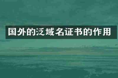 国外的泛域名证书的作用