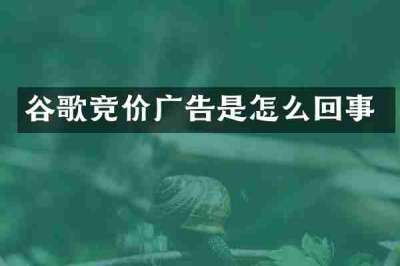 谷歌竞价广告是怎么回事