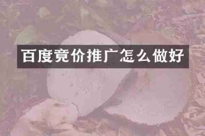 百度竟价推广怎么做好