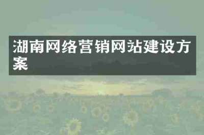 湖南网络营销网站建设方案