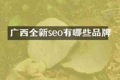 广西全新seo有哪些品牌