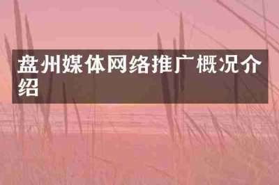 盘州媒体网络推广概况介绍