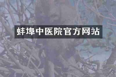 蚌埠中医院官方网站
