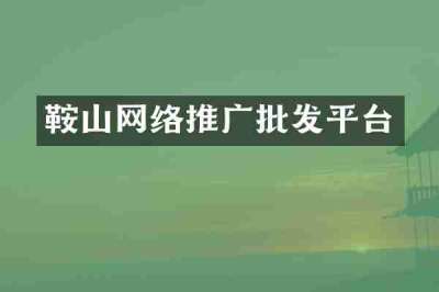 鞍山网络推广批发平台
