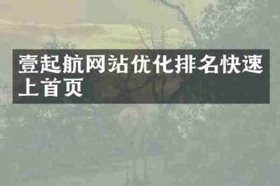 壹起航网站优化排名快速上首页