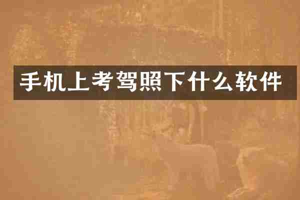 手机上考驾照下什么软件