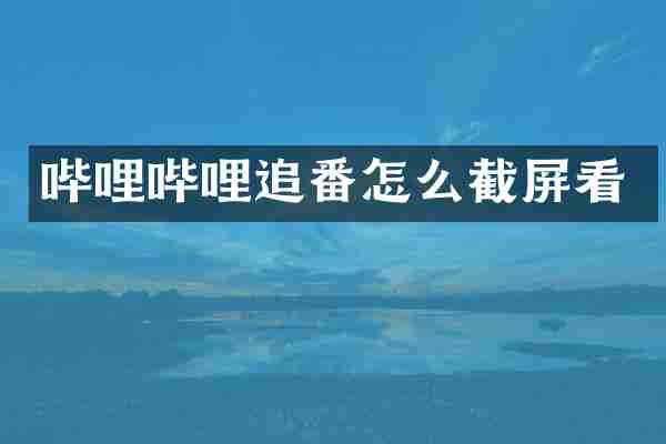 哔哩哔哩追番怎么截屏看