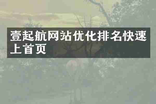 壹起航网站优化排名快速上首页