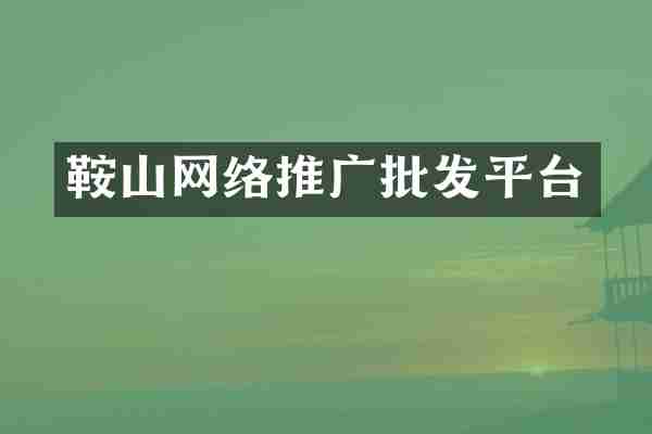 鞍山网络推广批发平台