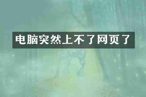 电脑突然上不了网页了