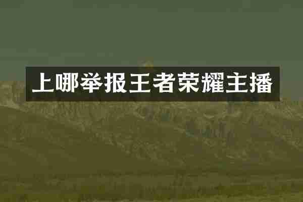 上哪举报王者荣耀主播