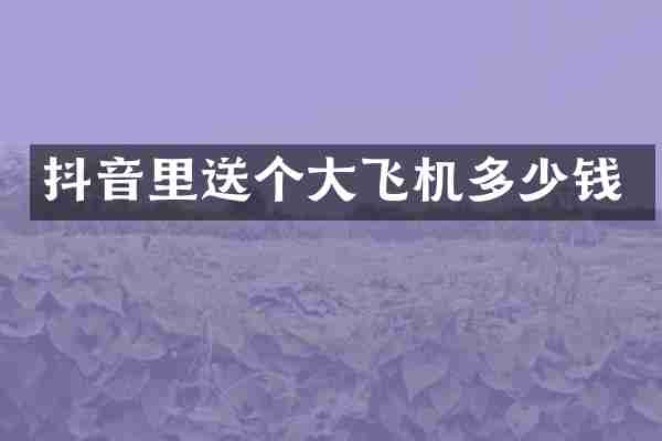 抖音里送个大飞机多少钱