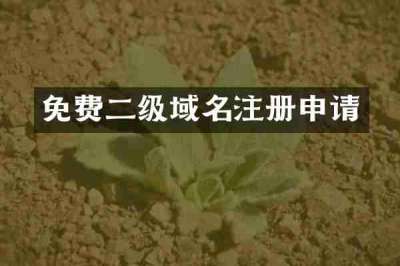 免费二级域名注册申请