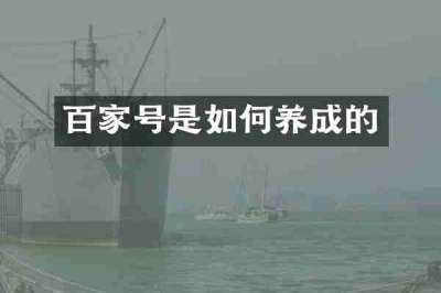 百家号是如何养成的