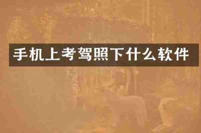 手机上考驾照下什么软件