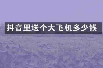 抖音里送个大飞机多少钱