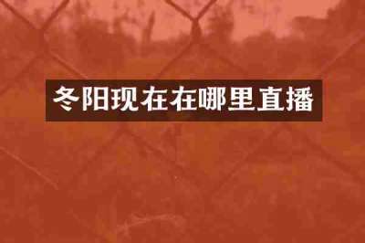 冬阳现在在哪里直播