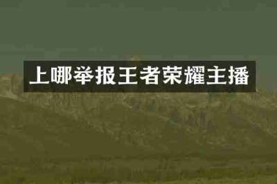 上哪举报王者荣耀主播