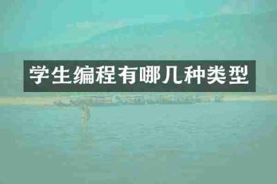学生编程有哪几种类型