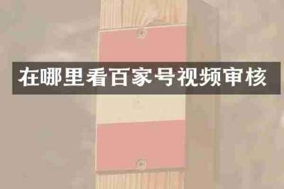 在哪里看百家号视频审核