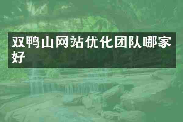双鸭山网站优化团队哪家好