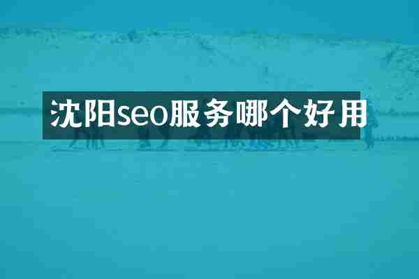 沈阳seo服务哪个好用