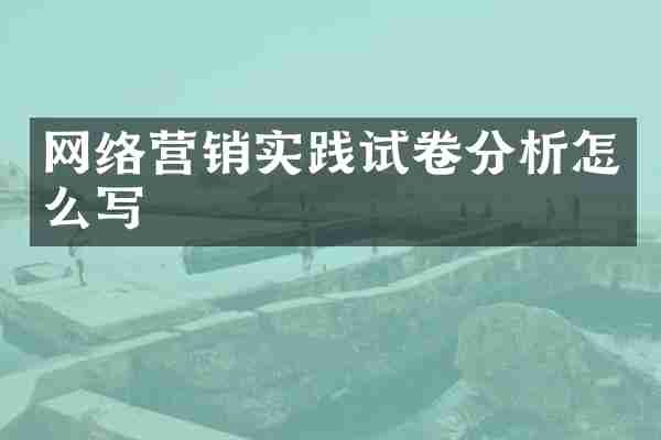 网络营销实践试卷分析怎么写