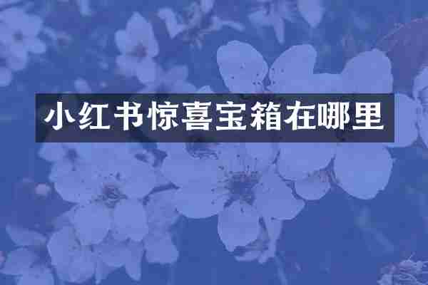 小红书惊喜宝箱在哪里