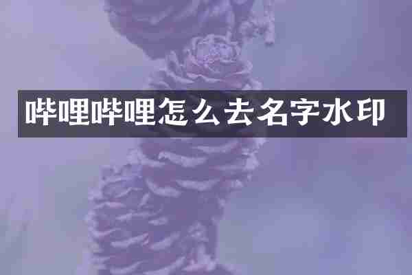 哔哩哔哩怎么去名字水印