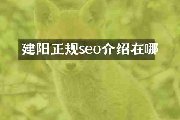 建阳正规seo介绍在哪