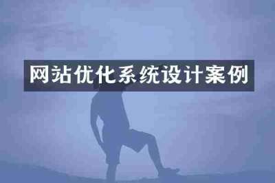 网站优化系统设计案例