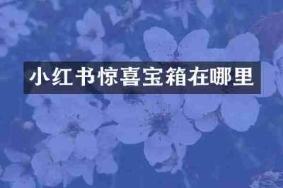 小红书惊喜宝箱在哪里