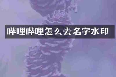 哔哩哔哩怎么去名字水印