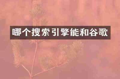 哪个搜索引擎能和谷歌