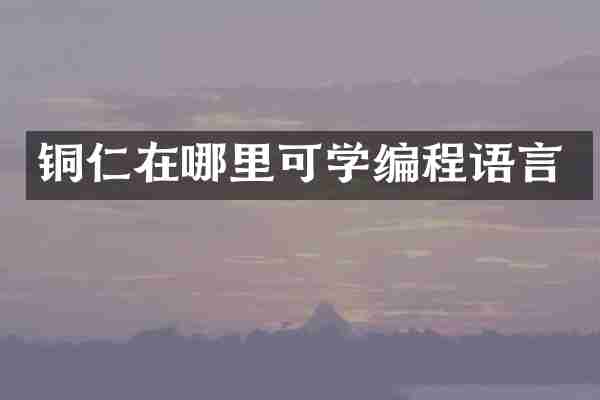 铜仁在哪里可学编程语言