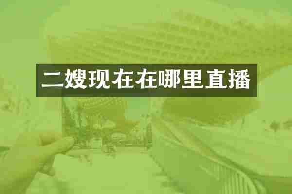 二嫂现在在哪里直播