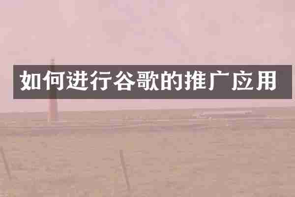 如何进行谷歌的推广应用