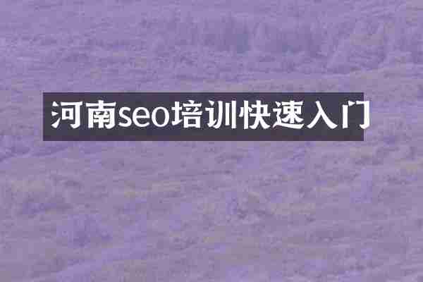 河南seo培训快速入门