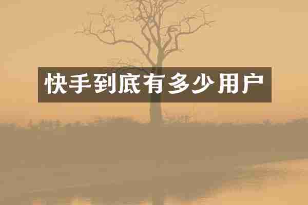 快手到底有多少用户