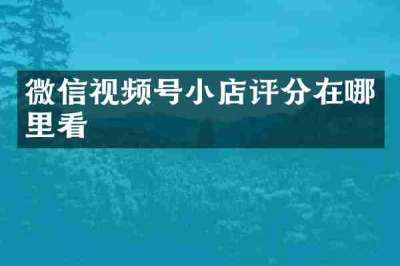 微信视频号小店评分在哪里看