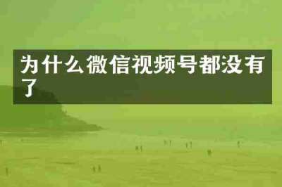 为什么微信视频号都没有了