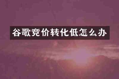 谷歌竞价转化低怎么办
