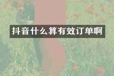 抖音什么算有效订单啊