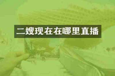 二嫂现在在哪里直播
