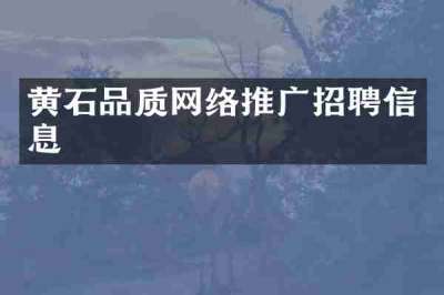 黄石品质网络推广招聘信息