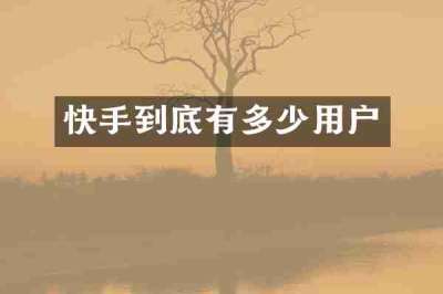 快手到底有多少用户